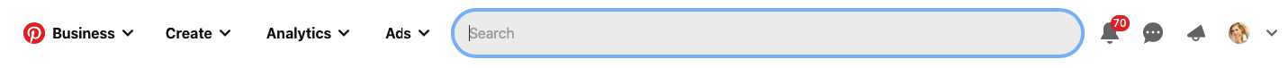 Pinterest zoekbalk